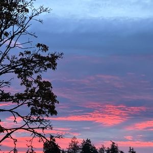 Meet your Posher, Jake